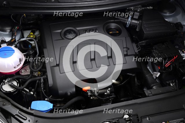 2011 Skoda Roomster Scout Artist: Unknown.