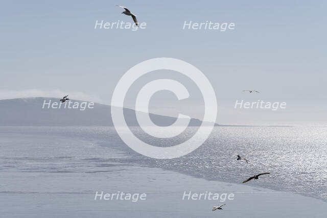 Brean Down, Somerset, 2018. Creator: Steven Baker.
