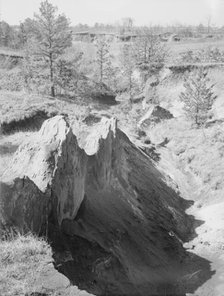 Erosion near Oxford, Mississippi, 1936. Creator: Walker Evans.