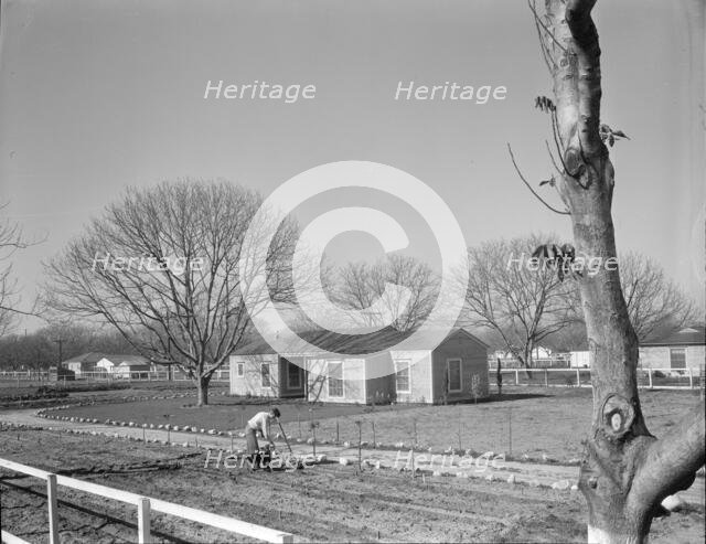 El Monte federal subsistence Homesteads, California, 1936. Creator: Dorothea Lange.