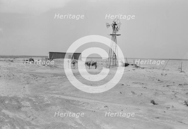Barn and shed of farm in the Texas Panhandle, near Boise City, Texas, 1938. Creator: Dorothea Lange.