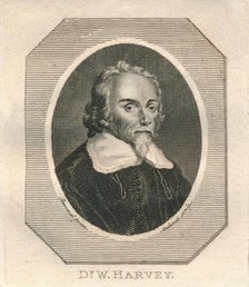 'Dr. W. Harvey', c1800. Creator: Philip Audinet.