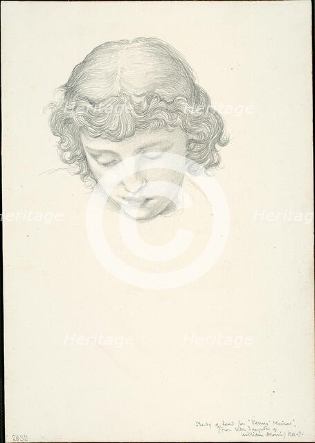 Study for Mirror of Venus: Head, c. 1873-77. Creator: Sir Edward Coley Burne-Jones.