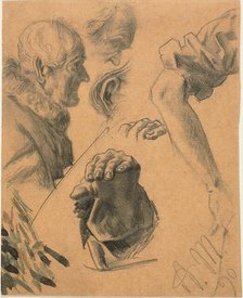 Sketches of Hands, Arms, and Heads, 1890. Creator: Adolph Menzel.