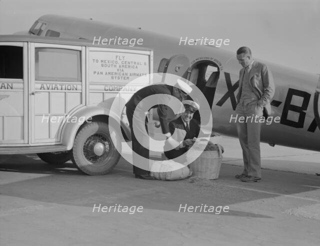 Plant quarantine inspector examining baggage brought into the US, Glendale, California, 1937. Creator: Dorothea Lange.
