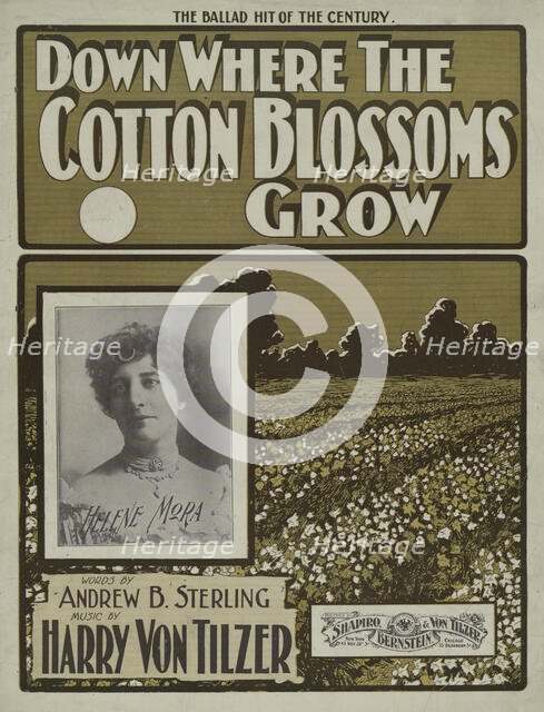'Down where the cotton blossoms grow', 1901.  Creator: Unknown.