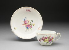 Cup and Saucer, Hague, The, 1778/86. Creator: Unknown.