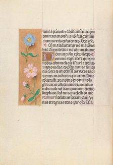 Hours of Queen Isabella the Catholic, Queen of Spain: Fol. 62v, c. 1500. Creator: Master of the First Prayerbook of Maximillian (Flemish, c. 1444-1519); Associates, and.