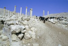 Ruins of the ancient city of Pella, Jordan.