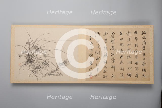 Refined Elegance in the Four Seasons (Shiji seiga), Album of Flower Paintings, 1844. Creator: Yamamoto Baiitsu.