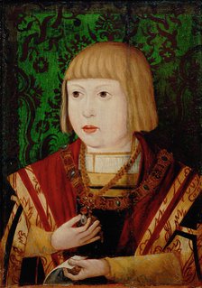 Emperor Ferdinand I (1503-1564) at the age of ten or twelve years, c. 1520. Artist: Anonymous  