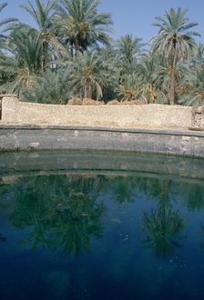 Cleopatra's Pool, Siwa, Egypt. 