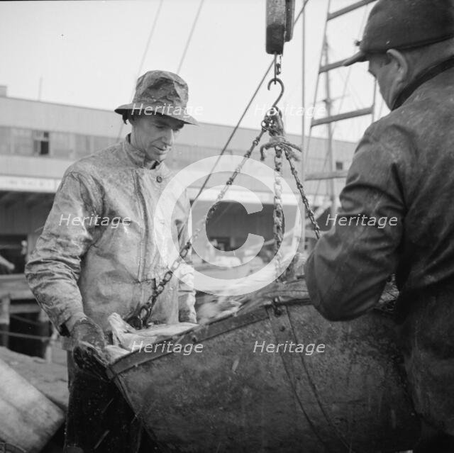 Possibly: New England fishermen unloading fish at the Fulton fish market, New York, 1943. Creator: Gordon Parks.