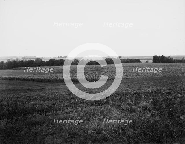 Curve to be straightened, near Oak Grove, Mo., between 1900 and 1905. Creator: Unknown.