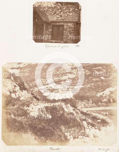 Pigeons at Singleton; Caswell, 1853-1856 Creator: James Knight.