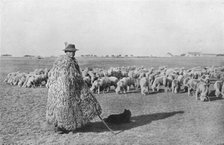 'A typical shepherd and his flock on the plains of Hungary', 1915. Artist: Unknown.
