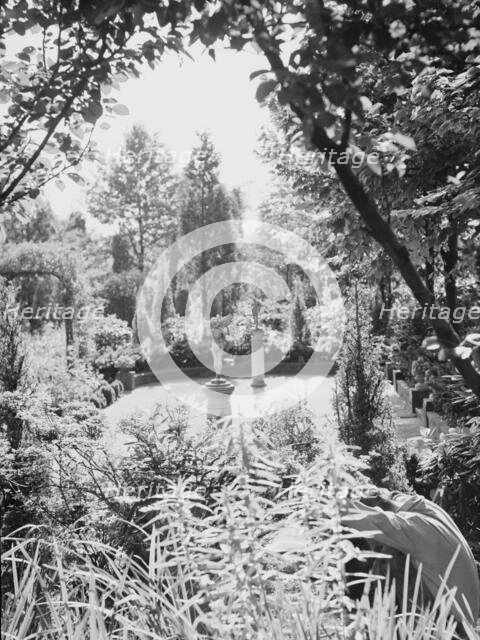 Edge, Charles N., garden, 1933 Creator: Arnold Genthe.