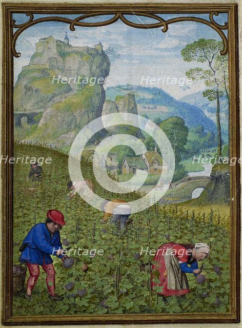 The Hours of Hennessy (Hours of Notre-Dame). Labors of the Months: October, c1530. Creator: Bening, Simon, (Workshop) (ca 1483-1561).