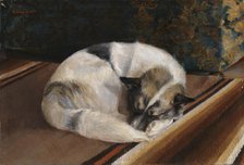 Reposing Dog, 1894. Creator: Sigrid Granfelt.