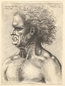 Head of a muscular old man in profile to left with flowing hair, 1625-77. Creator: Wenceslaus Hollar.