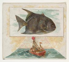 Moonfish, from Fish from American Waters series (N39) for Allen & Ginter Cigarettes, 1889. Creator: Allen & Ginter.