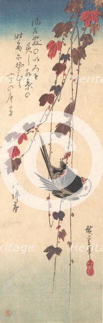Long-tailed Tit on Autumn Ivy, ca. 1835., ca. 1835. Creator: Ando Hiroshige.