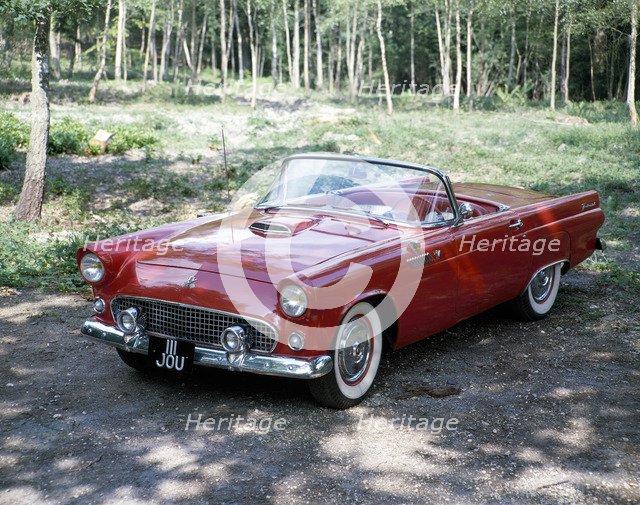 A 1955 Ford Thunderbird. Artist: Unknown