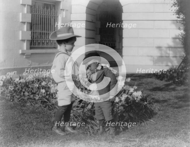 Quentin Roosevelt as a child in front of a flower garden...White House, Washington DC, c1900 - 1905. Creator: Frances Benjamin Johnston.