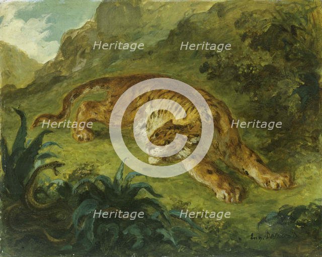 Tiger and Snake, 1854-1858. Creator: Delacroix, Eugène (1798-1863).