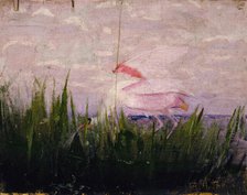 Roseate Spoonbill, study for book Concealing Coloration in the Animal Kingdom, ca. 1905-1909. Creator: Abbott Handerson Thayer.