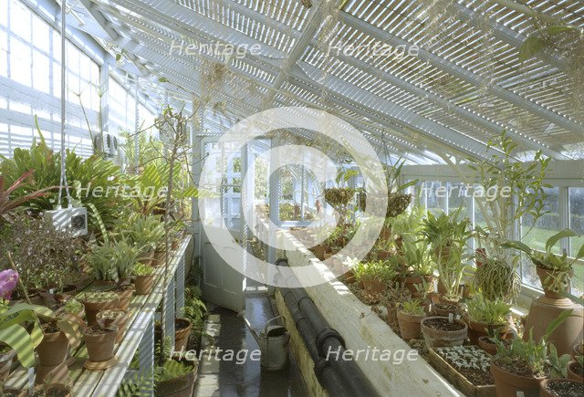The greenhouse, Down House, Downe, London, 2000. Artist: N Corrie