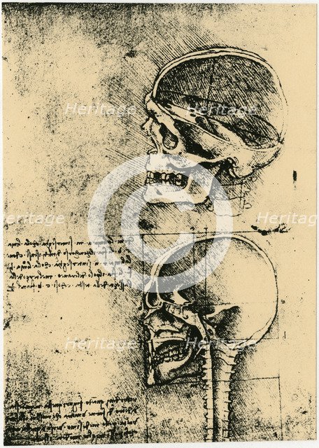 Anatomical sketch; two studies of a human skull, c1489. Artist: Leonardo da Vinci