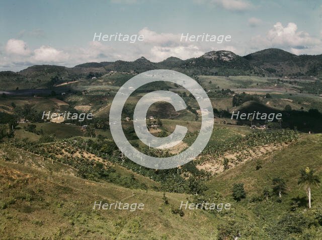 Small farms in the hills, vicinity of Corozal, Puerto Rico, 1941. Creator: Jack Delano.