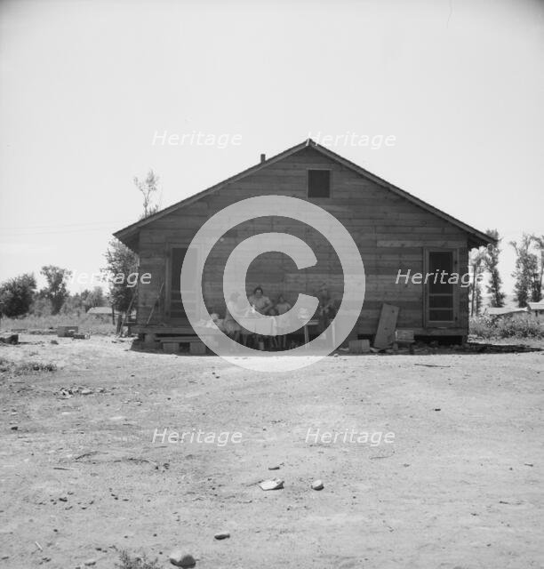 Home of family living in Sumac Park, shacktown community...Yakima, Washington, 1939. Creator: Dorothea Lange.