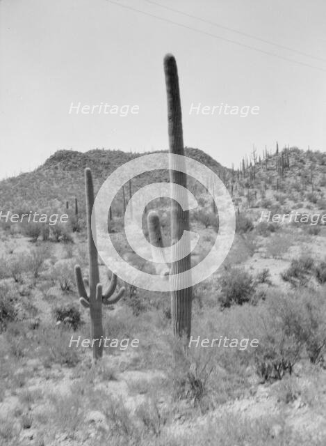 Travel views of the American Southwest, between 1899 and 1928. Creator: Arnold Genthe.