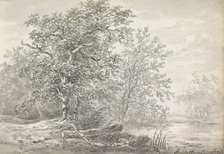 Trees on a waterfront, c.1811. Creator: Andreas Schelfhout.