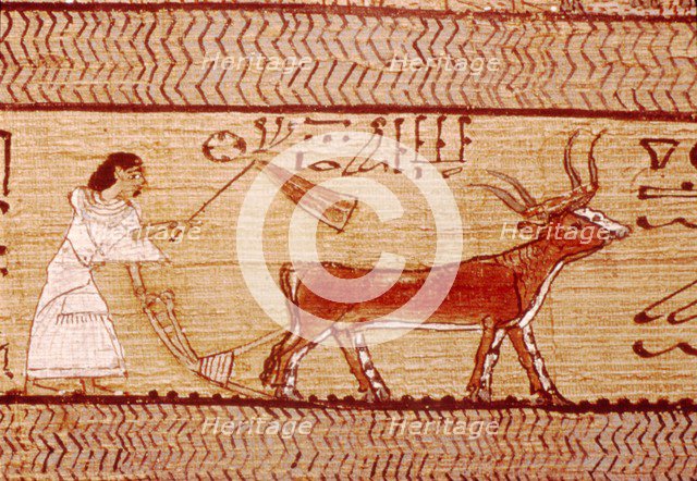 Egyptian Papyrus of Ani Ploughing, Theban Book of the Dead,  c1250 BC Artist: Unknown.