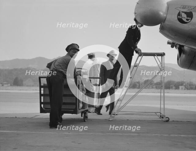 Department of Agriculture plant quarantine inspectors, Glendale Airport, California, 1937. Creator: Dorothea Lange.