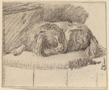 Lying Dog, 1777. Creator: Cornelis Brouwer.