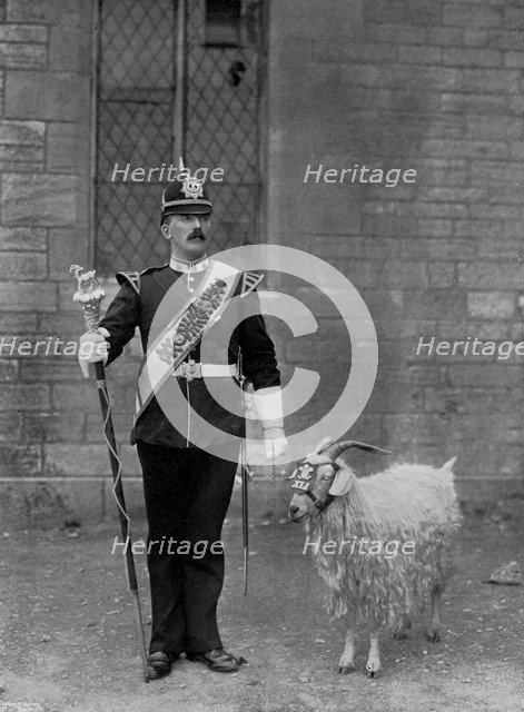 The Drum Major and goat of the 1st Battalion the Welch Regiment, 1896. Artist: WM Crockett