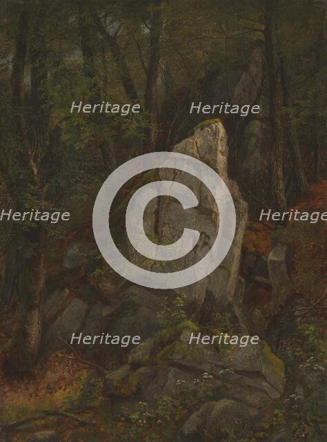 Study of Rocks in Pearson's Ravine, mid-1850s. Creator: Asher Brown Durand.