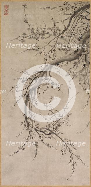 Prunus, 17th century. Creator: Kano Ein? (Japanese, 1631-1697), attributed to.