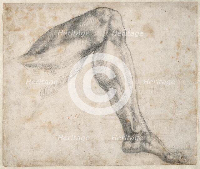 Study of a leg, 1524. Creator: Buonarroti, Michelangelo (1475-1564).