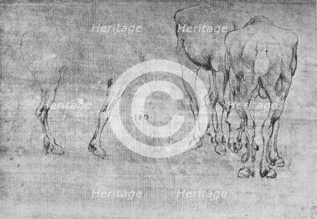 'Studies of Horses Grazing', c1480 (1945). Artist: Leonardo da Vinci.