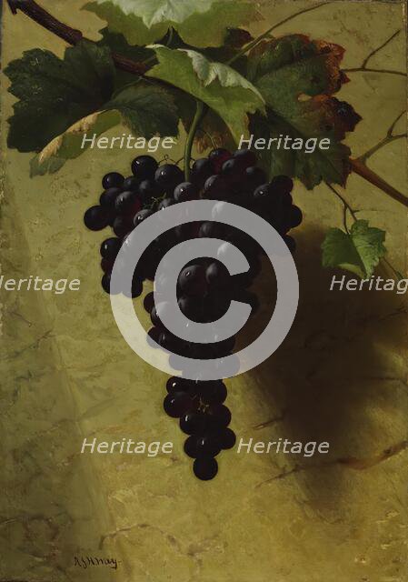 Bunch of Grapes, 1870s. Creator: Andrew John Henry Way.