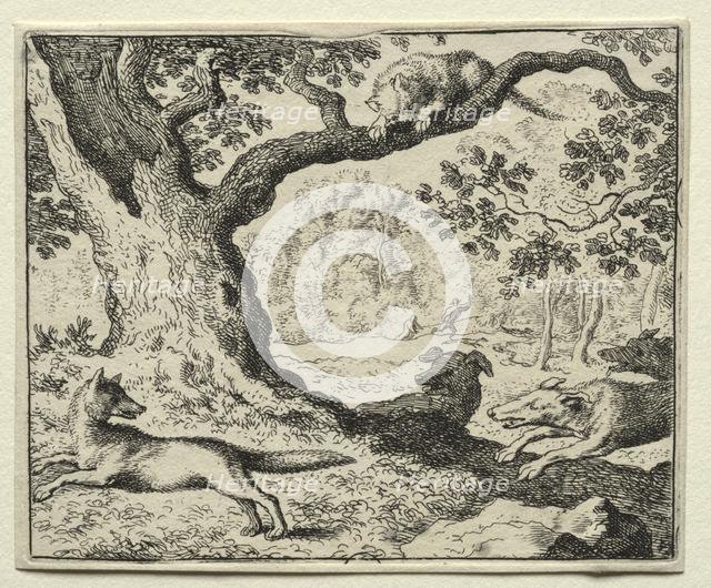 Reynard the Fox: The Disloyal Cat. Creator: Allart van Everdingen (Dutch, 1621-1675).