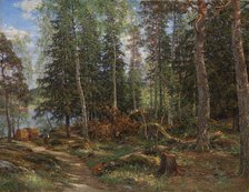 Forest interior, subject from Laajasalo, Helsinki, 1886. Creator: Berndt Lindholm.