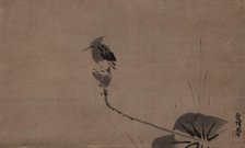 A kingfisher, 17th century. Creator: Tsunenobu; Kano (1636&ndash1713).