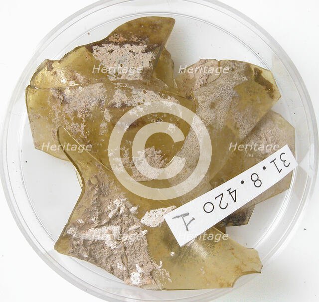 Glass Fragments, Coptic, 4th century. Creator: Unknown.
