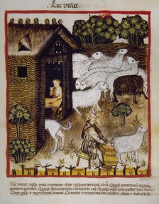 Sweet milk, 14th century.  Creator: Unknown.